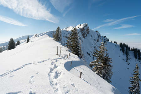 Fantastic snowshoe tour on the Hochgrat at the Nagelfluhkette in Allgau, Bavariaの写真素材