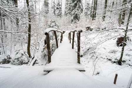 Winter hike in snow from Wilhelmsdorf on the Hoechsten near Illmensee on Lake Constanceの写真素材