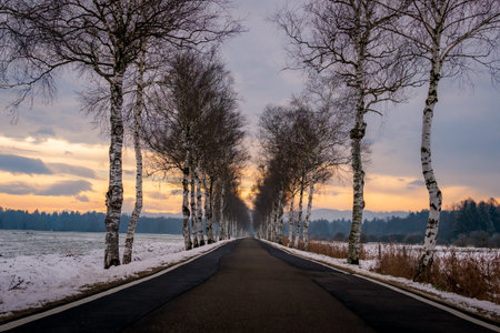Winter hike through the Pfrunger Ried to the Bannwald Tower near Ostrach in Upper Swabiaの写真素材