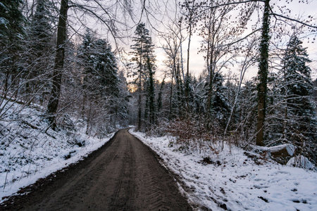Hike through the snow-covered ravine at Schmalegg near Ravensburg in Upper Swabiaの写真素材