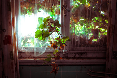 Creepy abandoned building with natural decay so-called lost place with retro interior decorationの写真素材