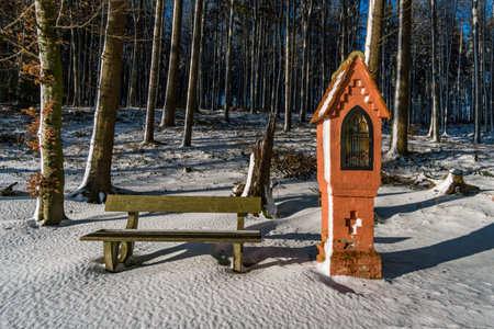 Winter hike around Lake Hosskirch near Koenigseggwald and the surrounding nature reserveの写真素材