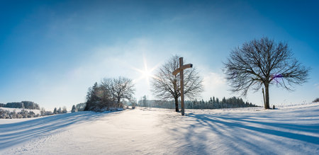 Fantastic snowshoe tour in the winter wonderland at the Gehrenberg near Lake Constanceの写真素材