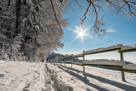Fantastic snowshoe tour in the winter wonderland at the Gehrenberg near Lake Constanceの写真素材
