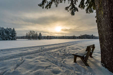Beautiful winter landscape at the nature reserve Wilhelmsdorf Pfrungen Riedの写真素材
