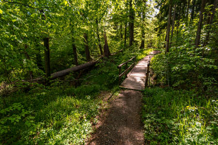 Fantastic views on the premium hiking trail on Gehrenberg near Markdorf on Lake Constance