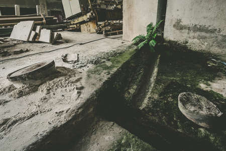 Creepy abandoned stone work building with natural decay so-called lost place with retro interior decorationの写真素材