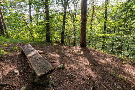 Wonderful autumn hike near Beuron in the Upper Danube Nature Park with great views and panoramasの写真素材
