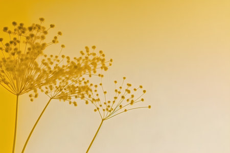 Bouquet of wildflowers on a background of the skyの素材