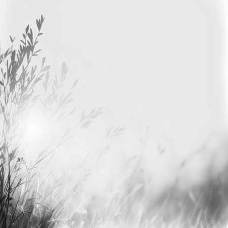 abstract natural background with grass and sun rays in monochromeの素材