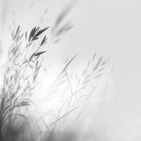black and white photo of grass on white background with soft focus effectの素材
