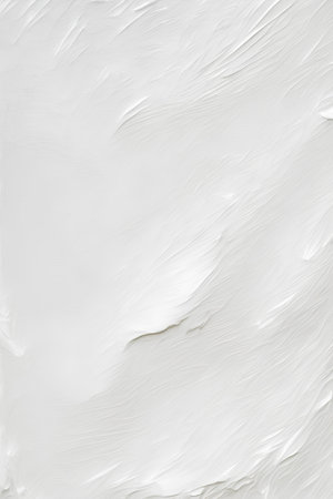 White paint brush strokes on a white wall. Abstract background for design.の素材