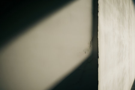 abstract background with shadow on the concrete wall and shadow on the wallの素材