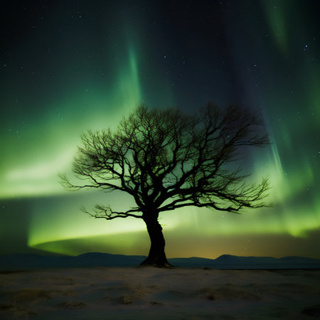 Aurora borealis, northern lights over winter landscape with lonely treeの素材