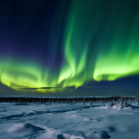 Aurora borealis, northern lights, over frozen lake in winterの素材