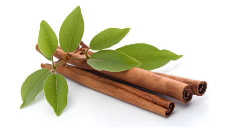 Cinnamon sticks with green leaves isolated on white background closeup.の素材