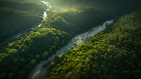 Aerial view of the river in the forest. Beautiful summer landscapeの素材