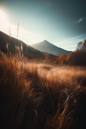 Beautiful autumn landscape in the mountains. Carpathians, Ukraine, Europeの素材