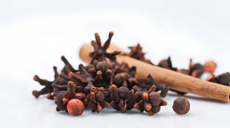 Spices and herbs on white background. Cloves, star anise, cinnamon.の素材