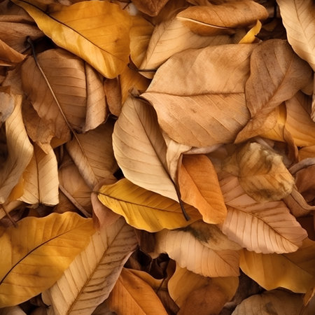 Autumn leaves background. Autumn leaves background. Autumn leaves background.の素材