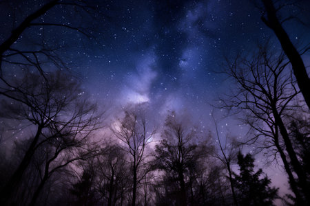 Milky Way in a winter forest with trees and bare branches.の素材