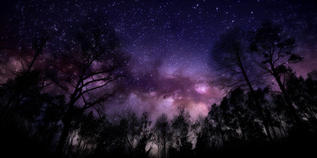 Purple starry sky with many stars and silhouettes of treesの素材