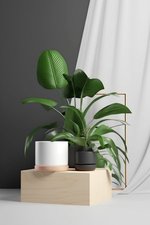 3d render of a vase with a plant in a roomの素材
