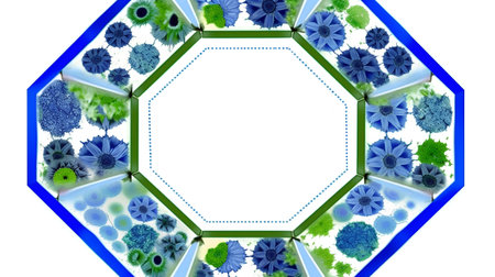 blue flowers on a white background with a place for your text.の素材