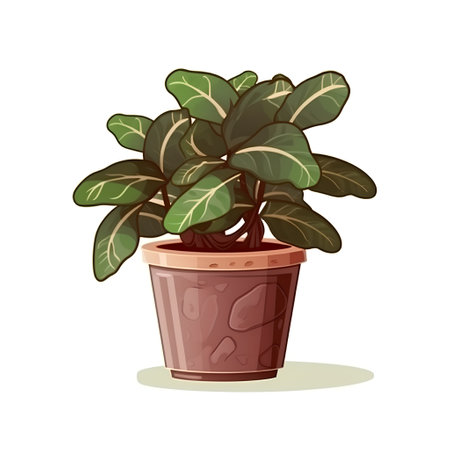 Illustration of a houseplant in a pot on a white backgroundの素材