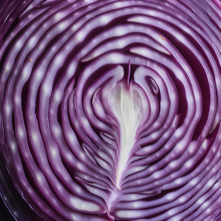 Purple onion cut in half, close-up, macro photographyの素材