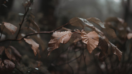 Autumn leaves in the forest. Dark moody colors. Selective focus.の素材