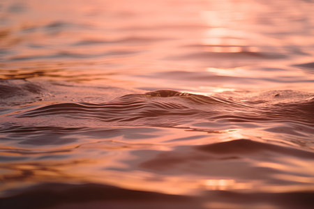 Close up of water surface at sunset. Nature background. Selective focus.の素材