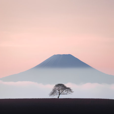 Lonely tree and Mt. Fuji in the morning, Japanの素材