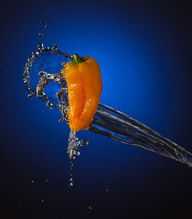Water Splashes on Orange Mini Bellの写真素材