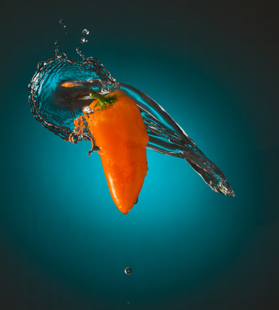 Water Splashes on Orange Mini Bellの写真素材