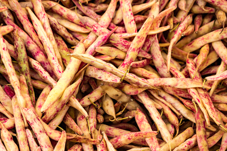 A table is filled with cranberry beans (aka rosecoco bean) for sale at a market in Istanbul