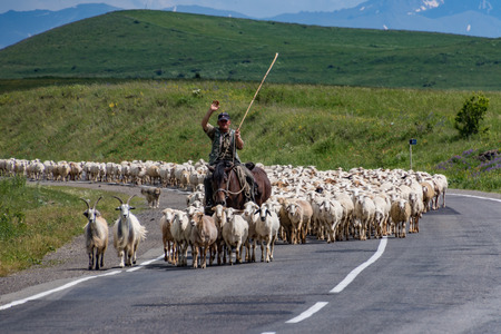 Goris, Armenia - June 16, 2017: Sheep herder with his flock on the roadのeditorial素材