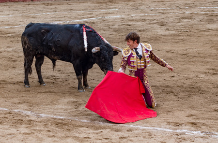 Bullfighter in ring with bull in Banos, Ecuador on Feb 15, 2015のeditorial素材