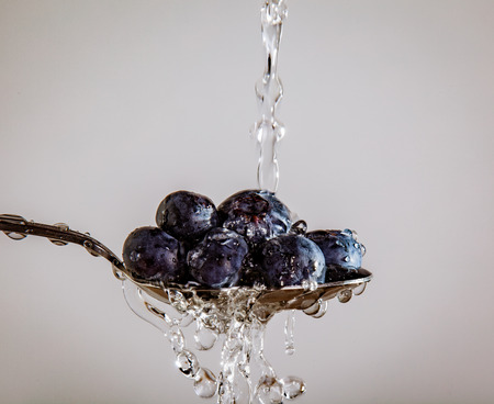 Blueberries on a Spoon being washed, on a white backgroundの写真素材