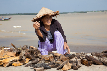 Hoi An, Vietnam / Oct 27, 2011: Woman collects firewood on beachのeditorial素材