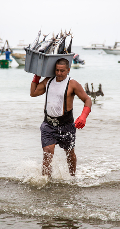 Puerto Lopez, Ecuador / Nov 27, 2012: Man carries bin of fish from boat to scale for saleのeditorial素材