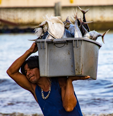 Puerto Lopez, Ecuador / Aug 19, 2016: Man carries bin of fish up the beach from the boat to the waiting processor trucks in Puerto Lopez, Ecuadorのeditorial素材