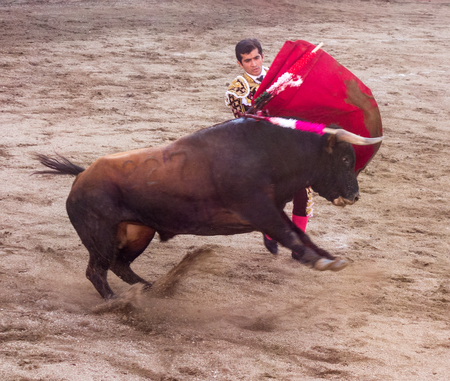 Ambato, Ecuador / Feb 15, 2015 - bullfighter on foot duels with bull during Carnavalのeditorial素材