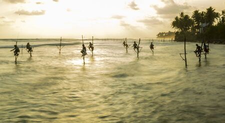 Galle, Sri Lanka - 2019-04-01 - Stilt Fishermen of Sri Lanka Spend All Day on Small Platforms to Catch Fish for Dinner.のeditorial素材