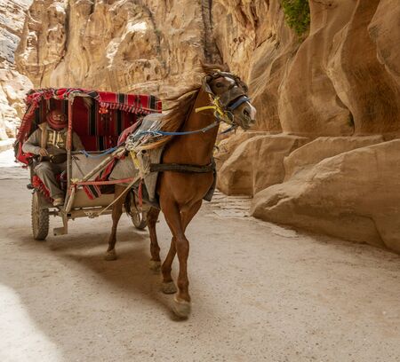Petra, Jordan - 2019-04-21 - Horse Carriange Brings Tourists Into the Treasury Basin.のeditorial素材