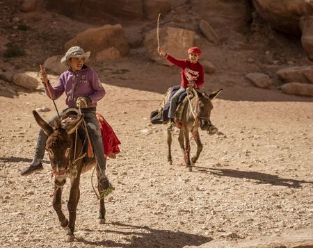 Petra, Jordan - 2019-04-21 - Donkeys Are Common Transport Animals in Petra Jordan.のeditorial素材