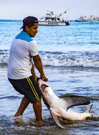 Puerto Lopez, Ecuador - Aug 19, 2016: Fisherman drags a dead shark onto the beach for processing in Puerto Lopez, Ecuadorのeditorial素材