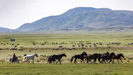 Issy Kul,  Kazakastan - June 1, 2017 - Rancher rounds up horses while riding a motocycleのeditorial素材