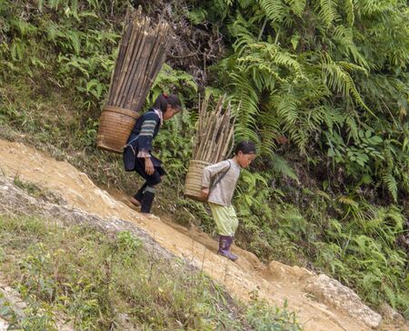North Vietnamese children carry full baskets of sticks down a steep hill on Nov 22, 2011のeditorial素材