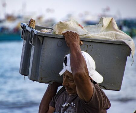 Puerto Lopez, Ecuador - Aug 19, 2016: Man carries bin of fish up the beach from the boat to the waiting processor trucks in Puerto Lopez, Ecuadorのeditorial素材